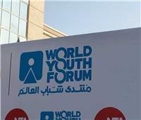تنسيقية شباب الأحزاب: العالم سيرى كيف غيرت حياة كريمة مستقبل المصريين| فيديو 