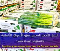 مستوردى الحاصلات الزراعية بألمانيا: البصل الأخضر المصرى «ليس له منافس»