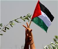 سفارة فلسطين بمصر تستقبل الأعمال المشاركة في أسبوع الفيلم الفلسطيني بالقاهرة