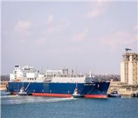 حركة الصادرات والواردات والحاويات اليوم بهيئة ميناء دمياط البحرى 