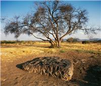 اكتشفه مزارع.. حكاية أكبر نيزك يزن 60 طنًا في ناميبيا