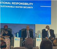 وزير الري بـ«منتدى شباب العالم»: الزيادة السكانية عامل ضغط على المياه والبنية التحتية