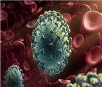 الصحة: تسجيل 948 حالة إيجابية جديدة بفيروس كورونا .. و 28 حالة وفاة