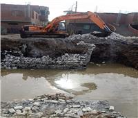 إزالة 20 حالة تعدي على المجاري المائية في أسيوط| صور