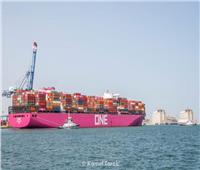   حركة الصادرات والواردات والحاويات والبضائع اليوم بهيئة ميناء دمياط البحري 