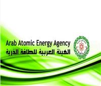 "مسئوليات المنظمات الوطنية في بناء محطات نووية جديدة" ندوة ب«الطاقة الذرية»