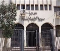 محاكمة محقق بـ «تعليم القاهرة» مارس المحاماة وقدم شكوى كيدية ضد رئيسه