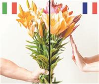 الزهور شؤم فى فرنسا والغزالة «شرسة»