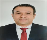 تامر سيف الدين رئيسا تنفيذيا لبنك الاستثمار العربي .