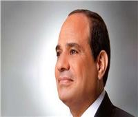برلماني: قرارات الرئيس السيسي أثلجت صدور المصريين في عامهم الجديد‎‎