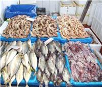 الزراعة: إنتاج مصر من الثروة السمكية الآن أصبح 2 مليون طن سنويا | فيديو