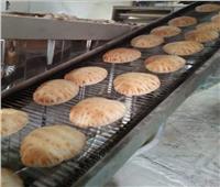 خلال حملات تموينية بالبحيرة.. ضبط 8 مخابز مخالفة لقيامهم بإنتاج خبز ناقص الوزن