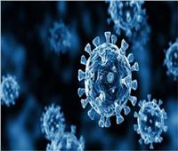 أستاذ فيروسات: «أوميكرون» أعراضه تتشابه مع أعراض الأنفلونزا العادية| فيديو