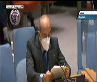 ممثل مصر بمجلس الأمن: على المجتمع الدولي توفير الحماية الدولية للشعب الفلسطيني| فيديو