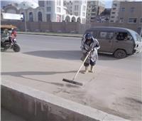 حملات للتطهير ورفع  ١٤٩ ألف طن قمامة من شوارع الإسكندرية  