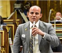 برلماني: مصر تعيش أفضل عصور الإصلاح الاقتصادي