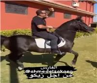 أحمد السقا يرقص بحصانه على أنغام الغزالة رايقة