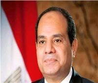 الرئيس السيسي يستقبل نظيره الجزائري في مطار القاهرة