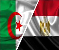 خبير: مصر والجزائر ركنين رئيسيين في الحفاظ على الأمن القومي العربي | فيديو