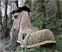 اكتشاف منزل على شكل «حذاء حجري» داخل الغابات تسكنه عجوز| صور      