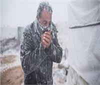 «الأرصاد»: طقس شديد البرودة يضرب البلاد وأمطار على السواحل الشمالية| فيديو