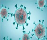 الصحة: تسجيل 2223 إصابة جديدة بفيروس كورونا.. و 31 حالة وفاة