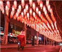 الصين تحتفل بـ«عام النمر»