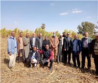 الزراعة: حملات لتشجيع المزارعين على التحول إلى أساليب الري الحديثة