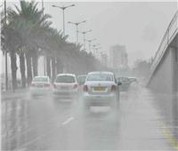 أمطار وصقيع.. «الأرصاد» تحذر من عدم استقرار الطقس يومي الخميس والجمعة