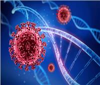 دراسة: الخلايا المناعية المقاومة لنزلات البرد يمكنها التصدي لـ«كورونا»
