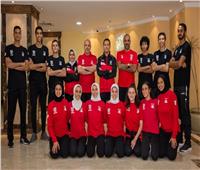 ارتفاع رصيد مصر في كأس العرب للتايكوندو إلى 15 ميدالية 