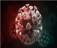 الصحة: تسجيل 2291 إصابة جديدة بفيروس كورونا.. و39 وفاة