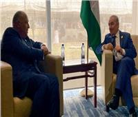 «شكري» يلتقي رئيس الوزراء الفلسطيني لإحياء مسار مفاوضات جادة