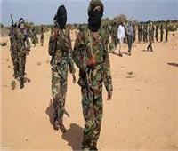 الرئيس الصومالي: جماعة «الشباب» الإرهابية تشكّل خطرًا على إفريقيا