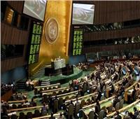 الأمم المتحدة تعلن عن تقدم في جهود حل أزمة ناقلة «صافر»