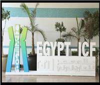 «التعاون الدولي» تبرز تعزيز العلاقات «المصرية- الليبية» ومذكرات التعاون المشتركة