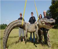 «الوحش».. اصطياد تمساح ضخم عمره 80 عامًا بولاية فلوريدا