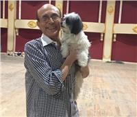 «كلبة» تُقبّل محمد صبحي على خشبة المسرح