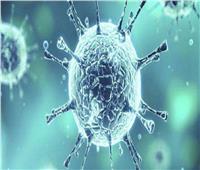 أستاذ فيروسات: «الصحة العالمية» تقيم المتحورات وفقًا للأعراض والانتشار