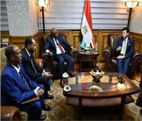 وزير الرياضة يبحث مع سفير جيبوتي تعزيز التعاون الثنائي