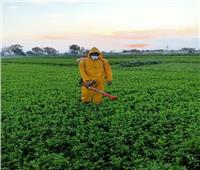 الزراعة: توصيات هامة للمزارعين خلال عملية رش المبيدات