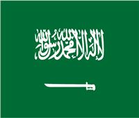 الصناعة السعودية تعاقب 51 منشأة لمخالفة نظام الاستثمار التعديني في يناير