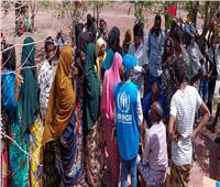 مفوضية اللاجئين: فرار الآلاف من مخيم بارهلي الإثيوبي بسبب هجوم مميت