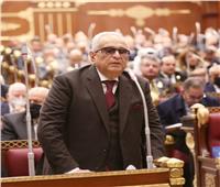 وكيل مجلس الشيوخ يلقي كلمة أمام البرلمان العربي