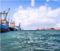 حركة الصادرات والواردات والبضائع اليوم بميناء دمياط البحري  