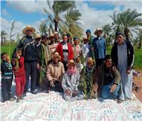 «الزراعة»: حملات إرشادية لمزارعي القمح بالوادي الجديد
