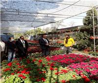 «الزراعة» تستعد لافتتاح معرض زهور الربيع بحديقة الأورمان