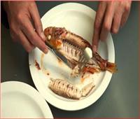 منعا للإحراج في المطاعم.. تعرف على «اتيكيت تناول الأسماك»| فيديو