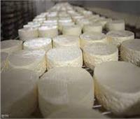 القبض على صاحب مصنع لإنتاج الجبن المغشوشة