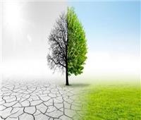 تعرف على جهود «الري» لمواجهة التغيرات المناخية    